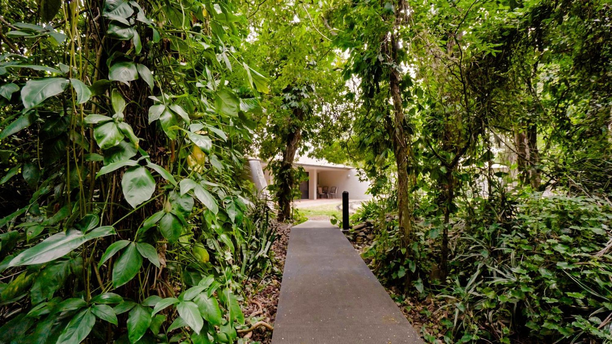 Invercauld House Goonellabah Екстер'єр фото